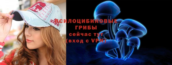 винт Каменка