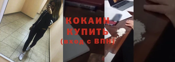 винт Каменка