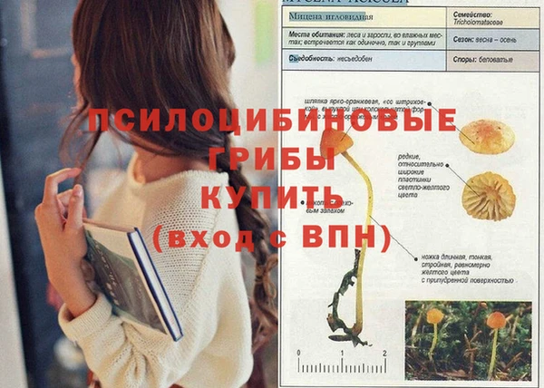 меф VHQ Каменногорск