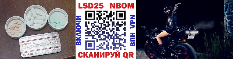Купить закладки  Приморск  Лсд 25 экстази кислота 
