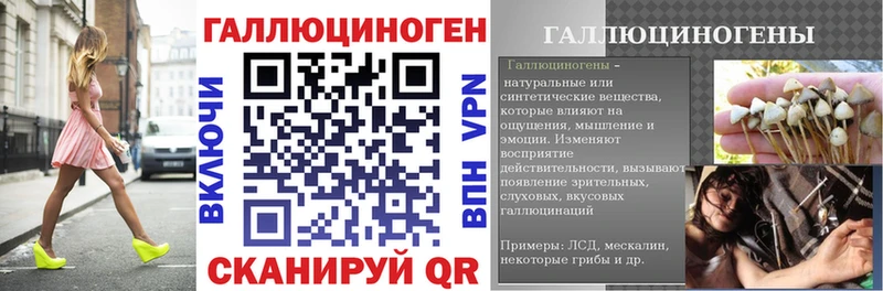 Купить где  Приморск  Галлюциногенные грибы Psilocybe 