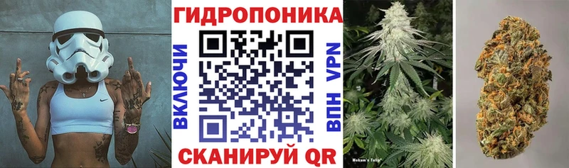 Купить  Приморск  Бошки Шишки SATIVA & INDICA 